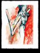 Widder